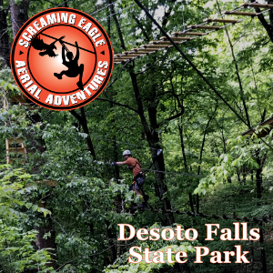 Desoto-Falls-State-Park-Image