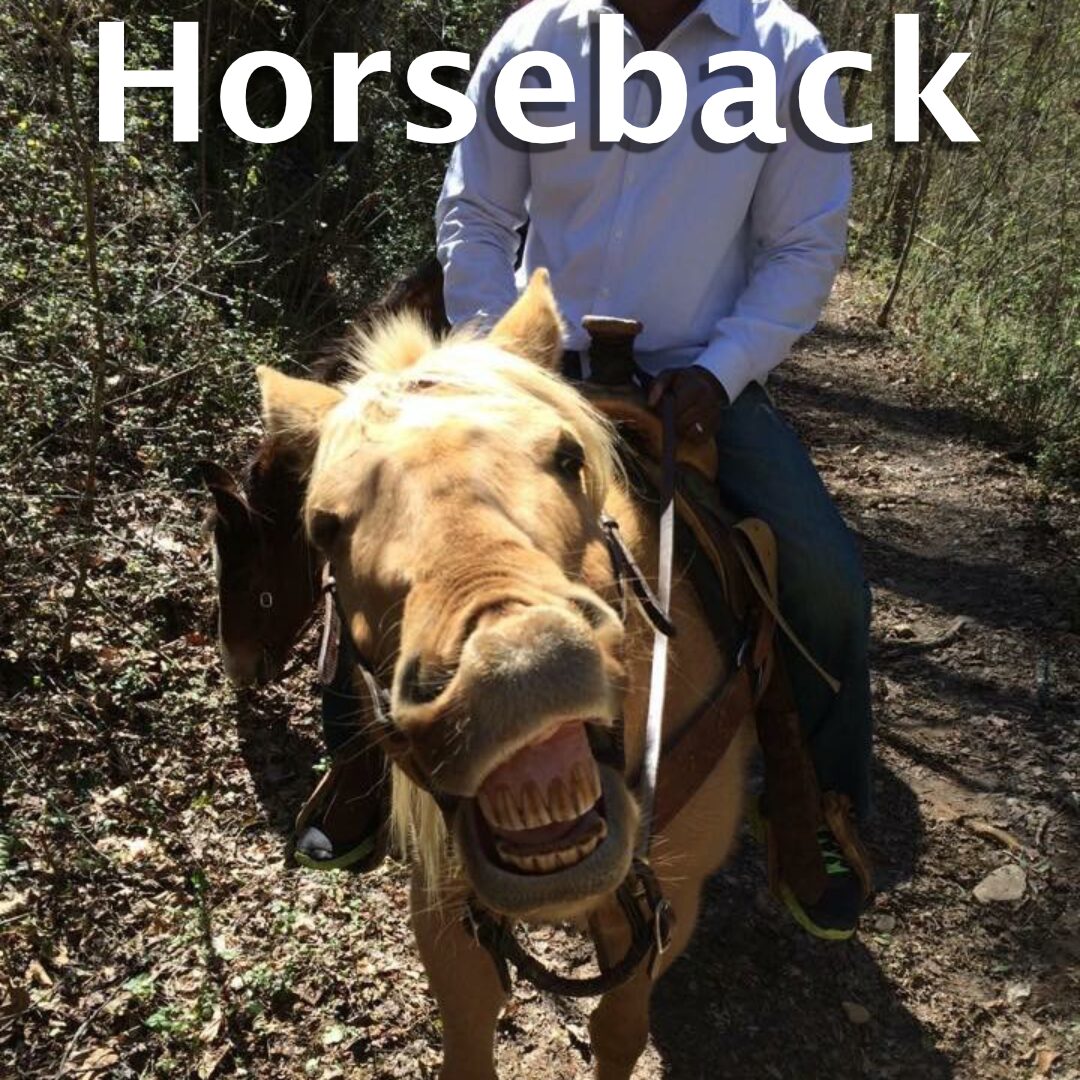 Horseback-2