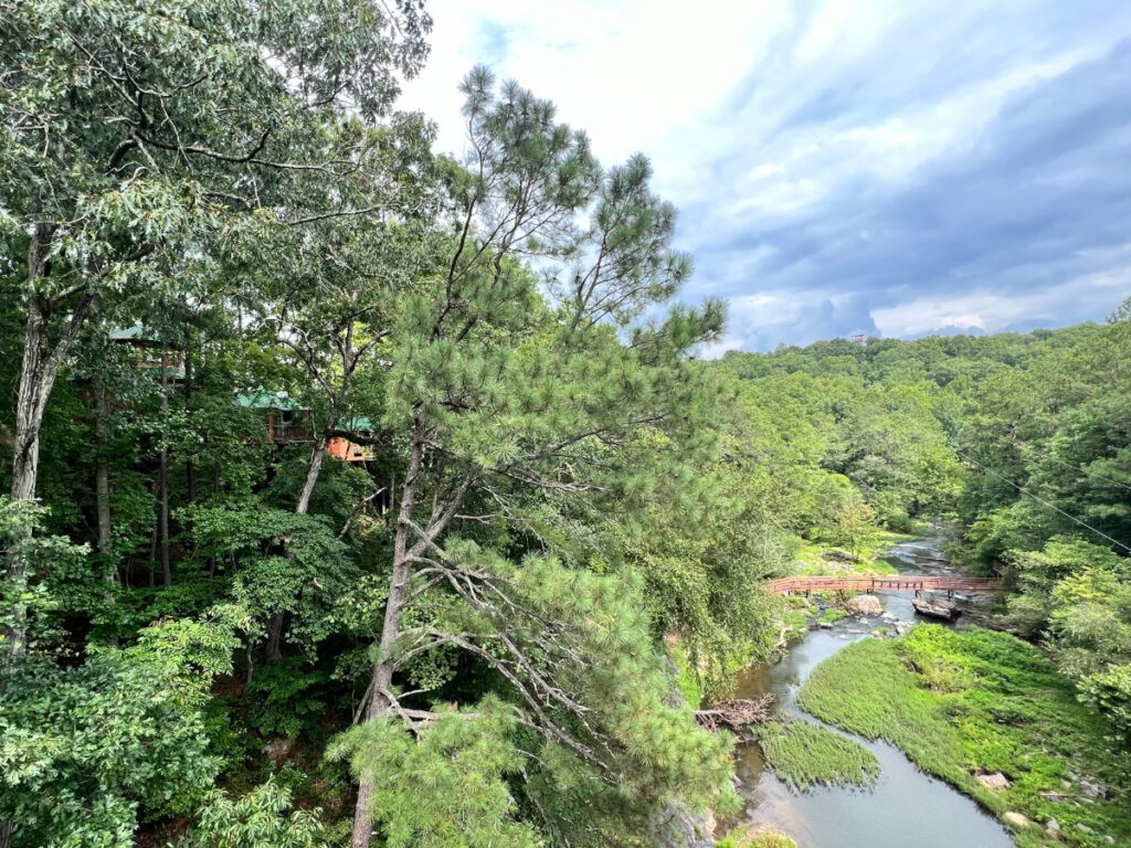 Tree House overlooking the Gorge