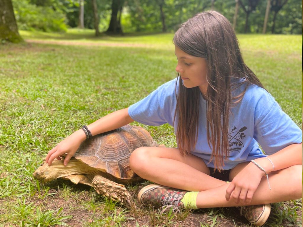 camper petting a tortoise at the nature program