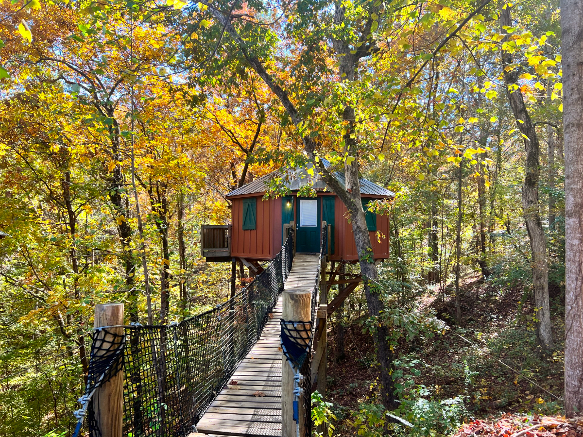 fall at a georgia treehouse rental