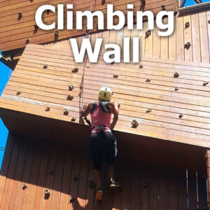 Climbing Wall Page Button