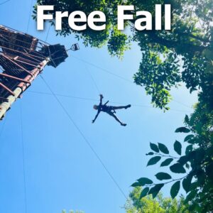 Free Fall Page Button