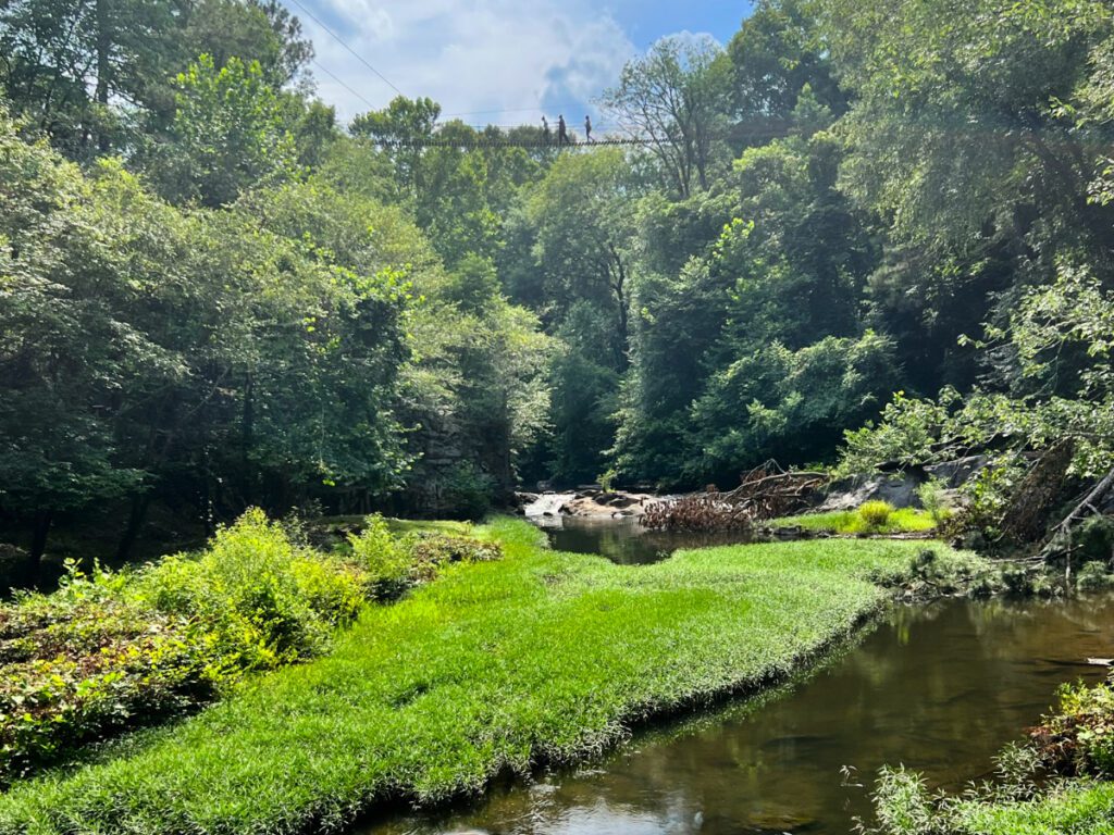 Hiking & Nature Trails - Snake Creek Gorge - Atlanta, GA