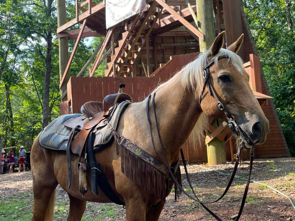 Horseback Riding