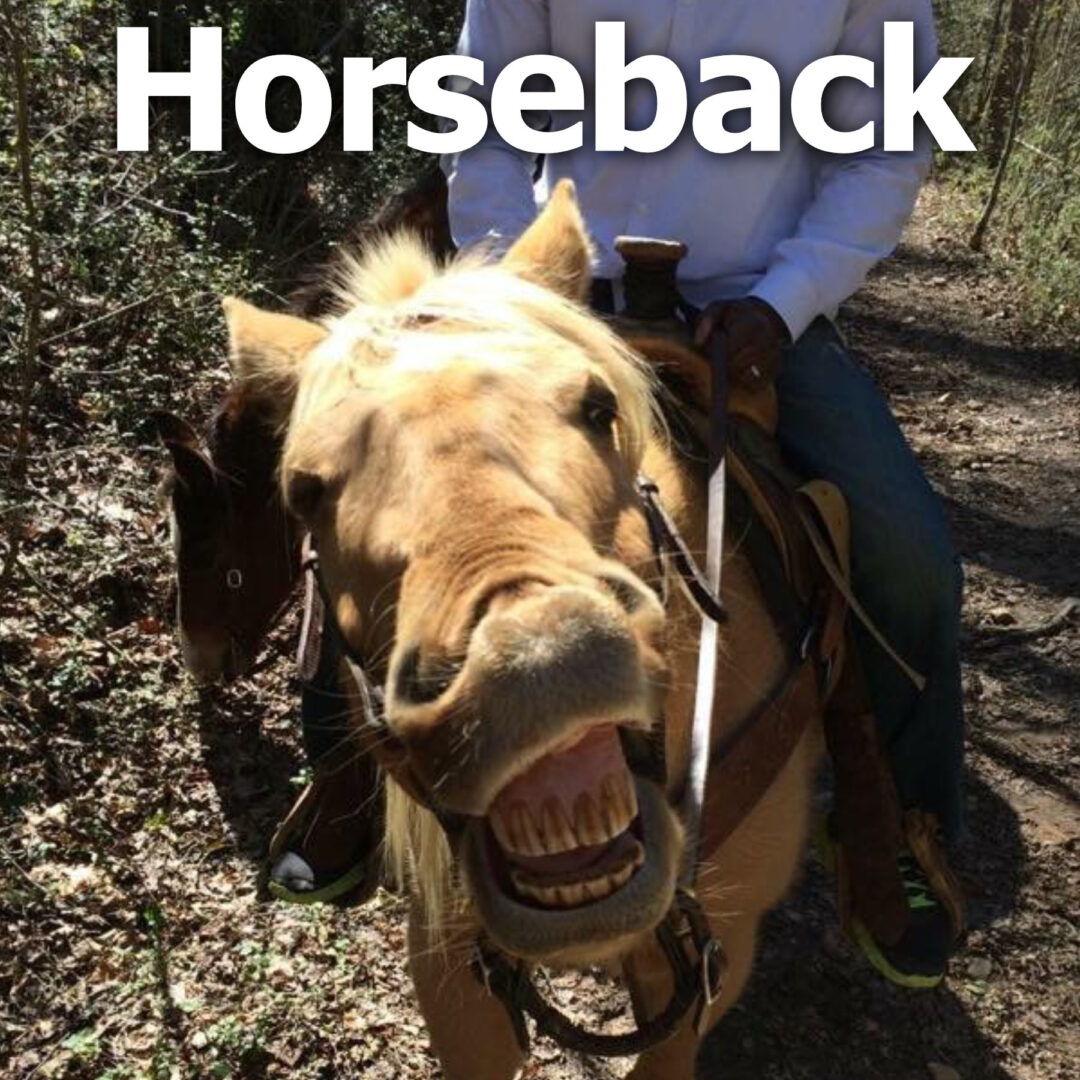 Horseback Page Button