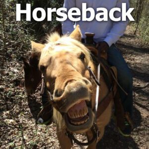 Horsesback Page Button