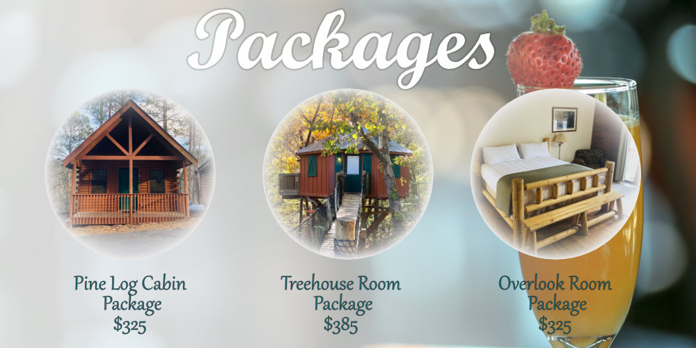 Packages for Pine Log Cabin, Treehouse, and Creekside Overlook