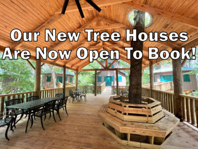 Our New Treehouses Are Now Open and Ready to Book!