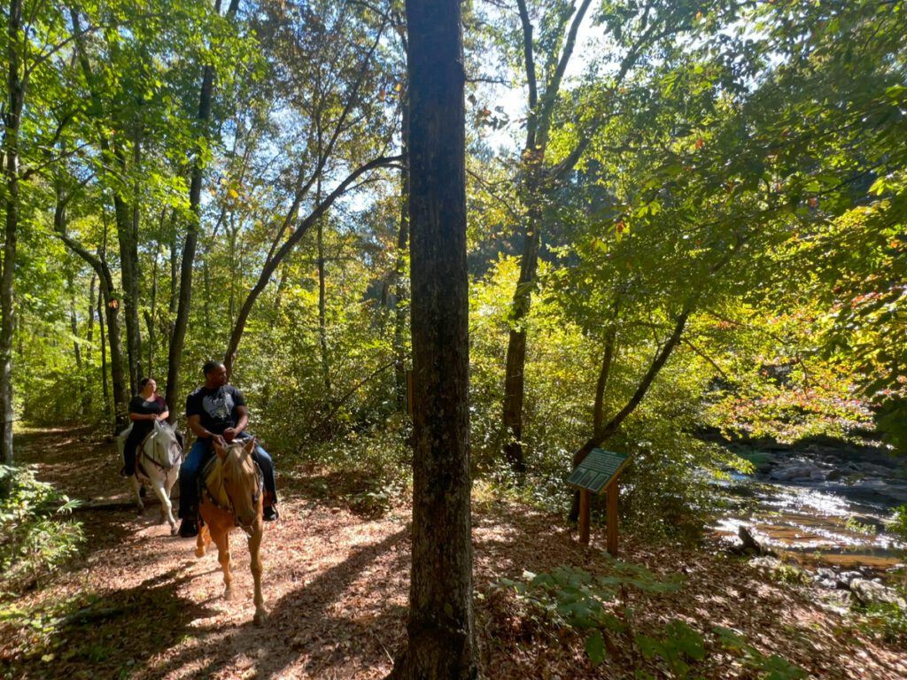 Horseback Riding