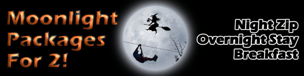 Moonlight Zip Line Tours at Historic Banning Mills