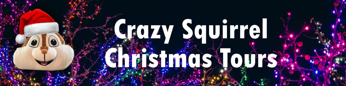 Crazy Squirrel Christmas flybook banner
