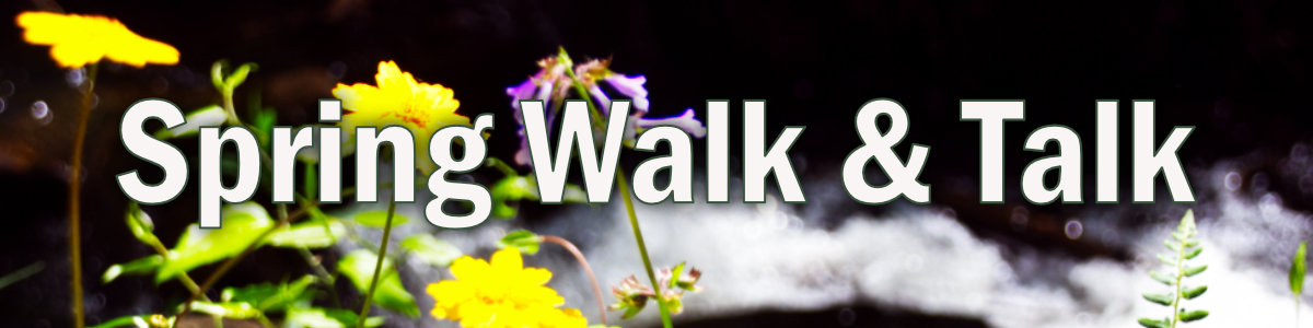 Spring Walk & Talk