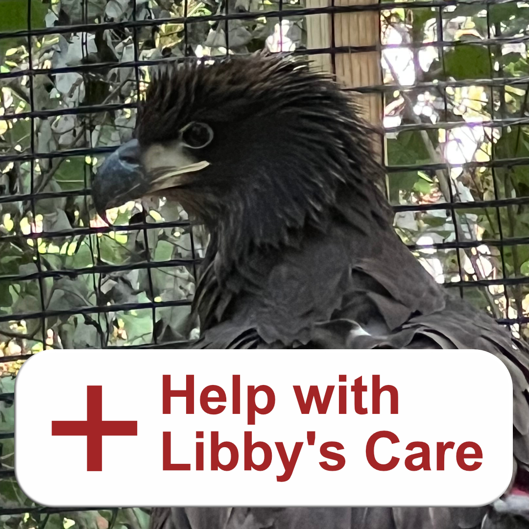 help with libby's care