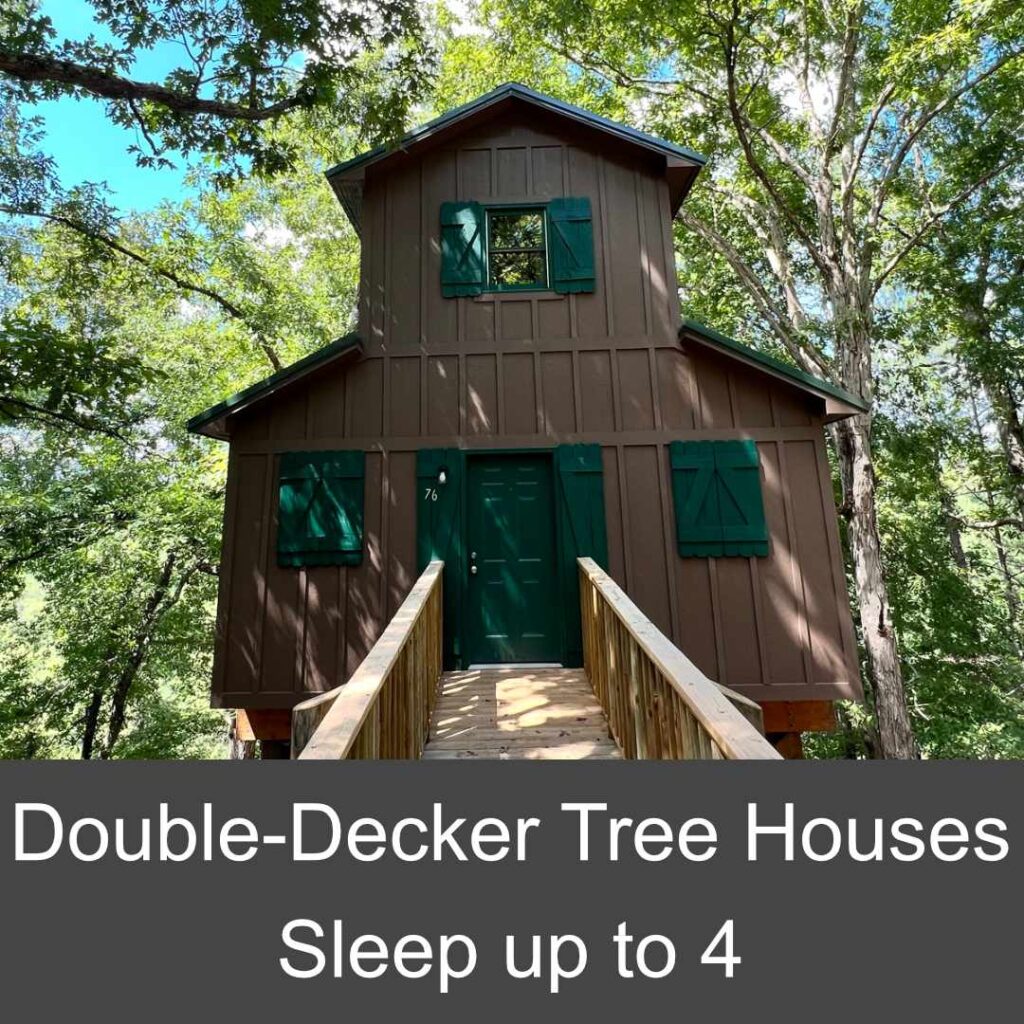 Double-decker Tree House