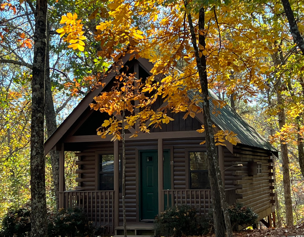 Pine Log Cabin in the Fall