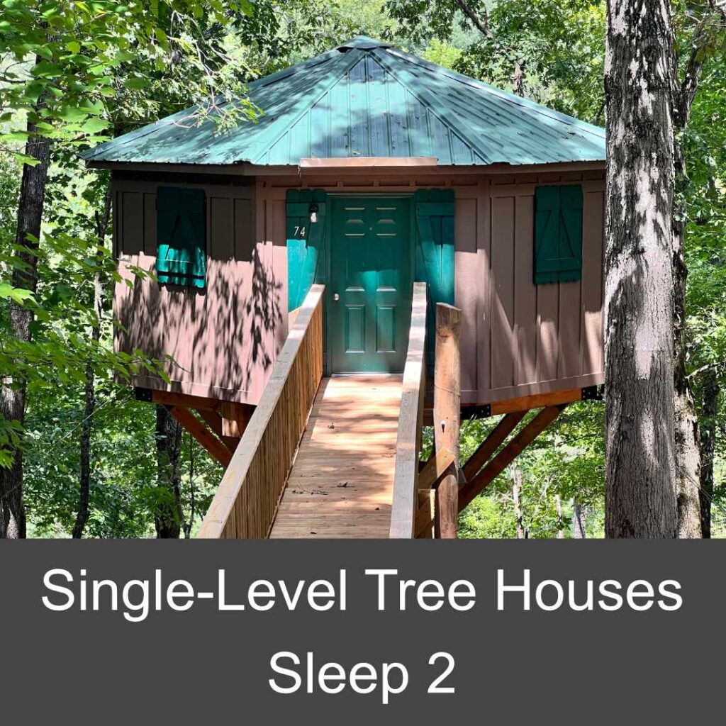 Single-level Tree House