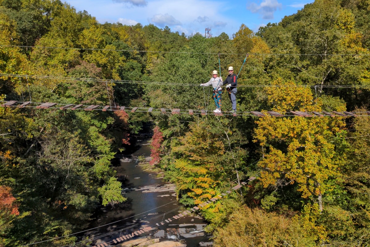 Level 4 sky trek during autumn!