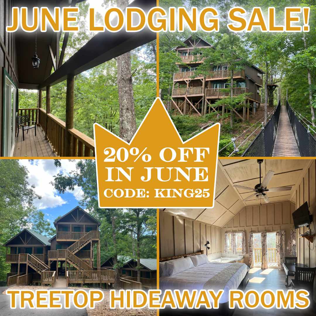 Treetop 25