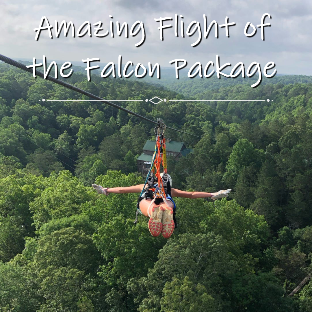 Flight of the Falcon August 2025 V2