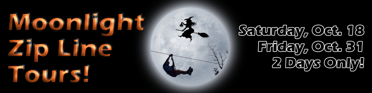 Moonlight package flybook banner