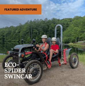 eco-spider-swingcar-frame-min