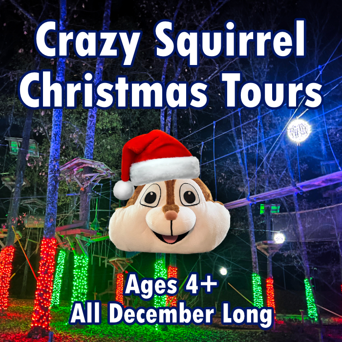 Crazy Squirrel Christmas Flybook List View 2024