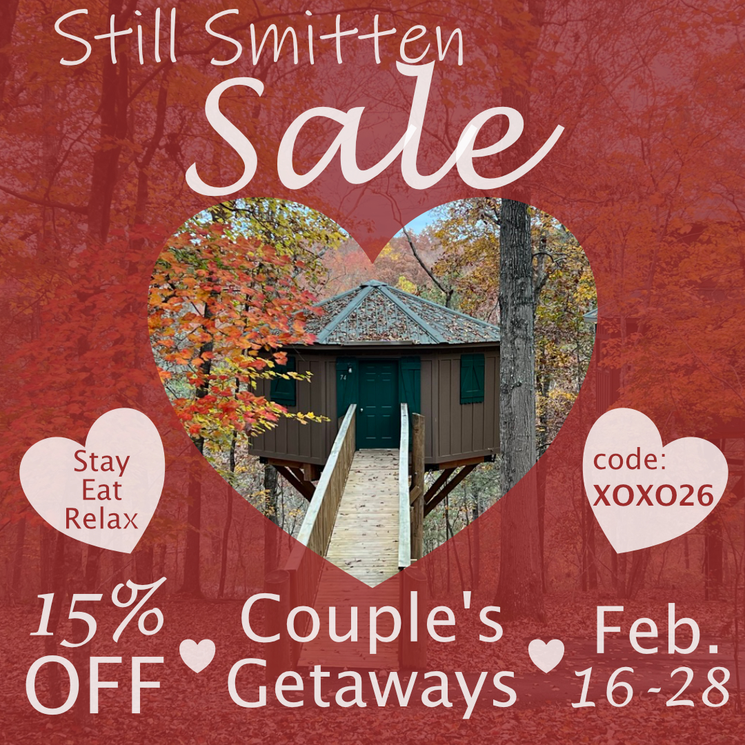 Leap into love special 2024