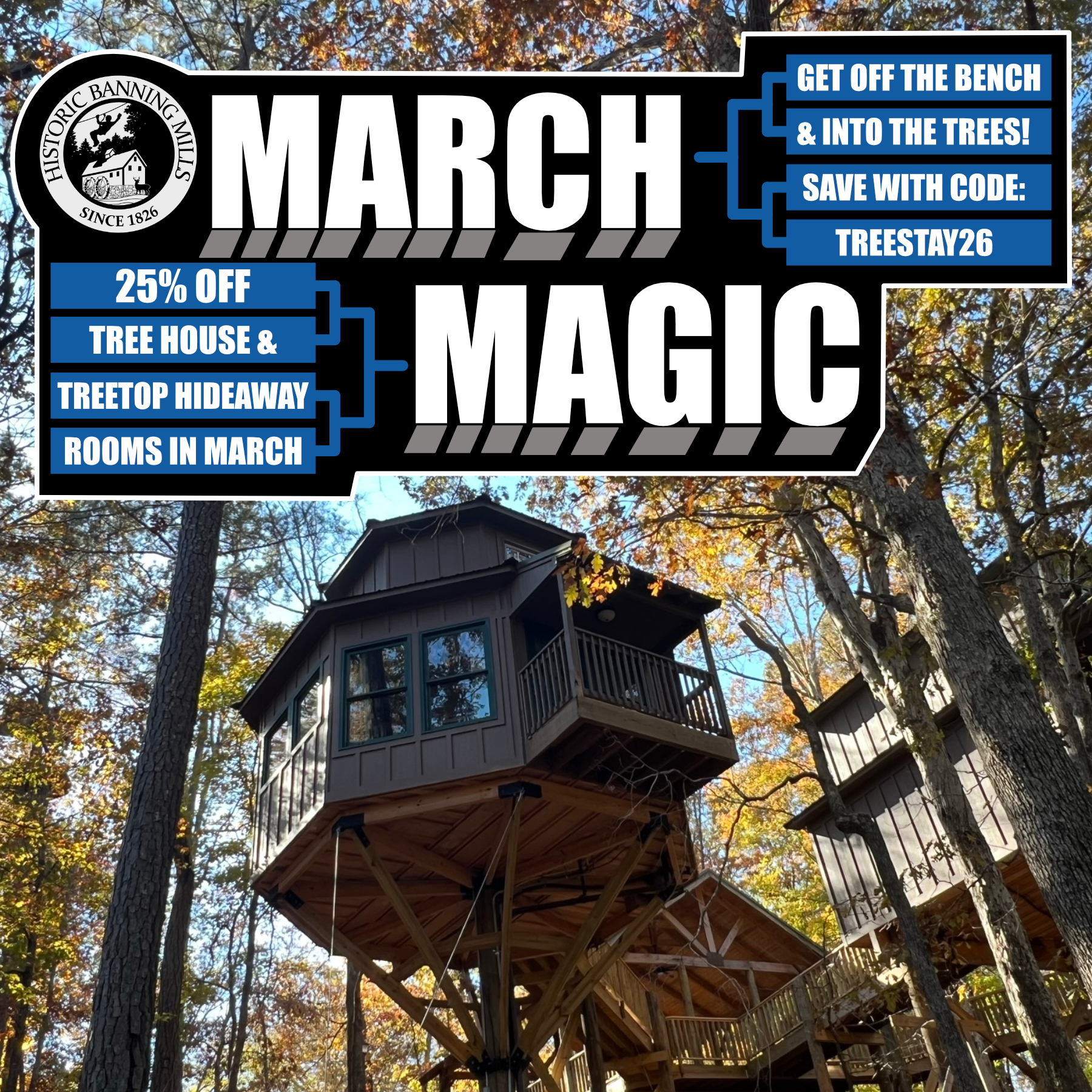 March Magic 2025