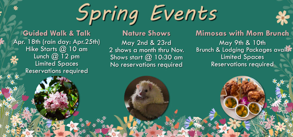 Spring Events including Guided Walk & Talk, Nature Shows, and Mimosas with Mom Brunch - view upcoming event details
