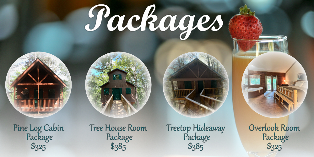 Mimosas with Mom Flybook list view