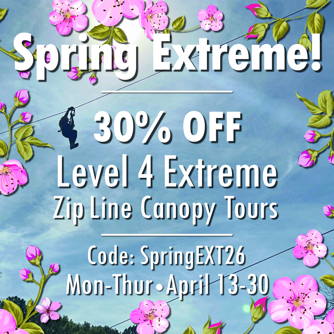 Spring Extreme