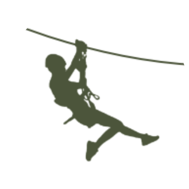 Zip line icon