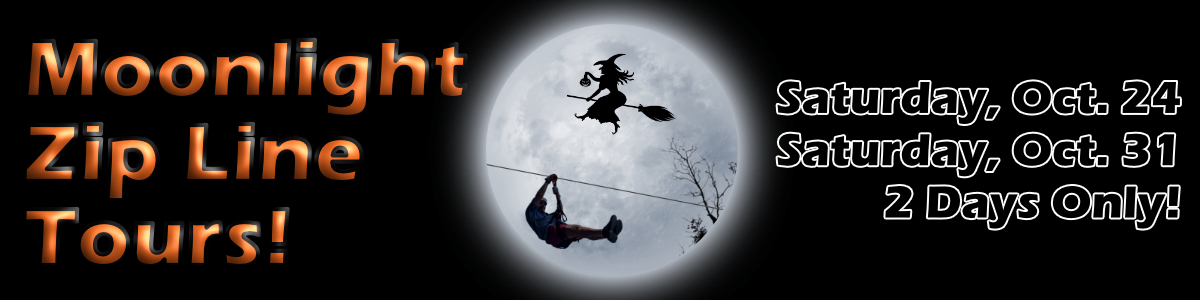 Moonlight flybook banner