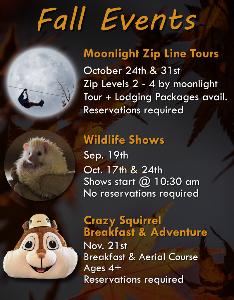 Fall events