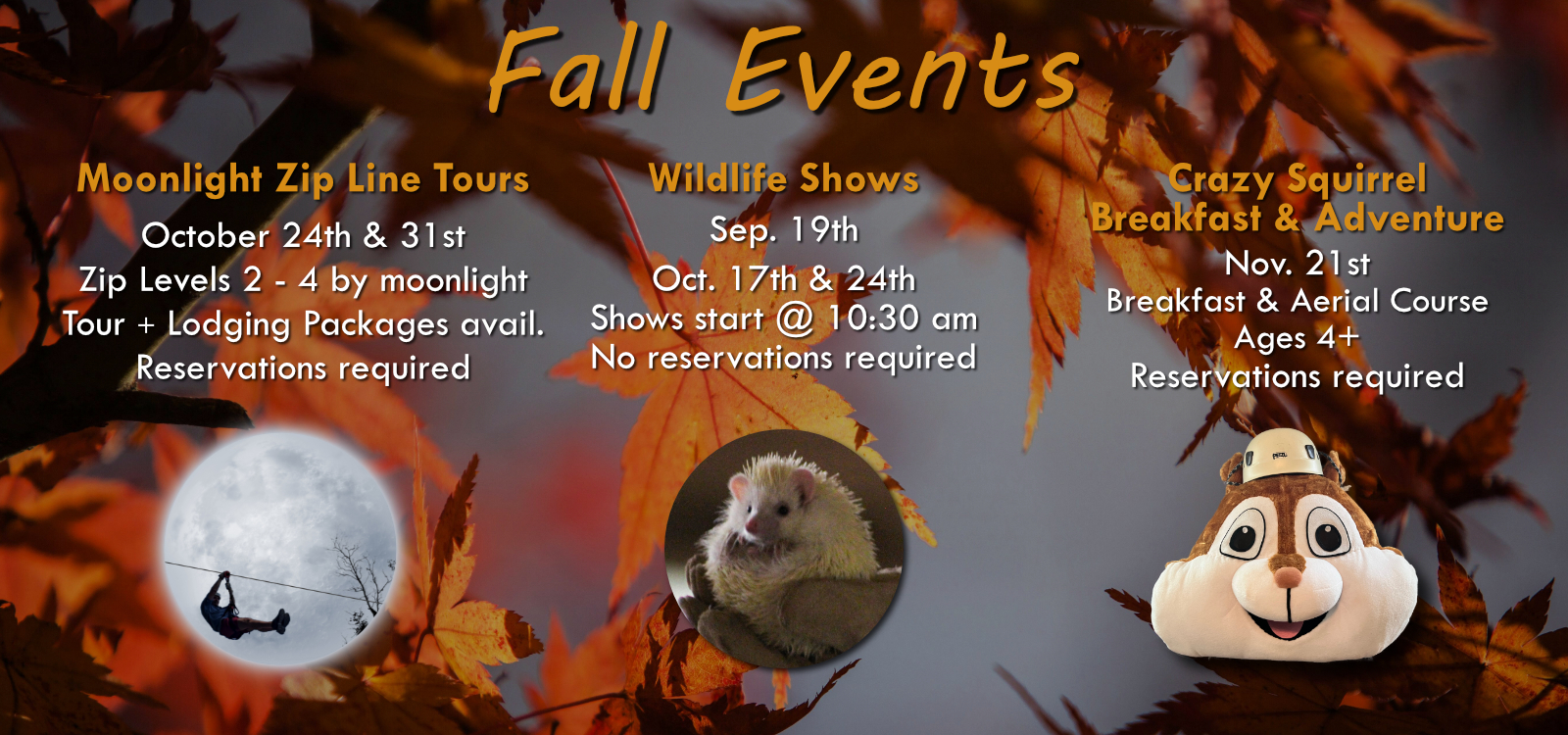 Spring Events Web Banner