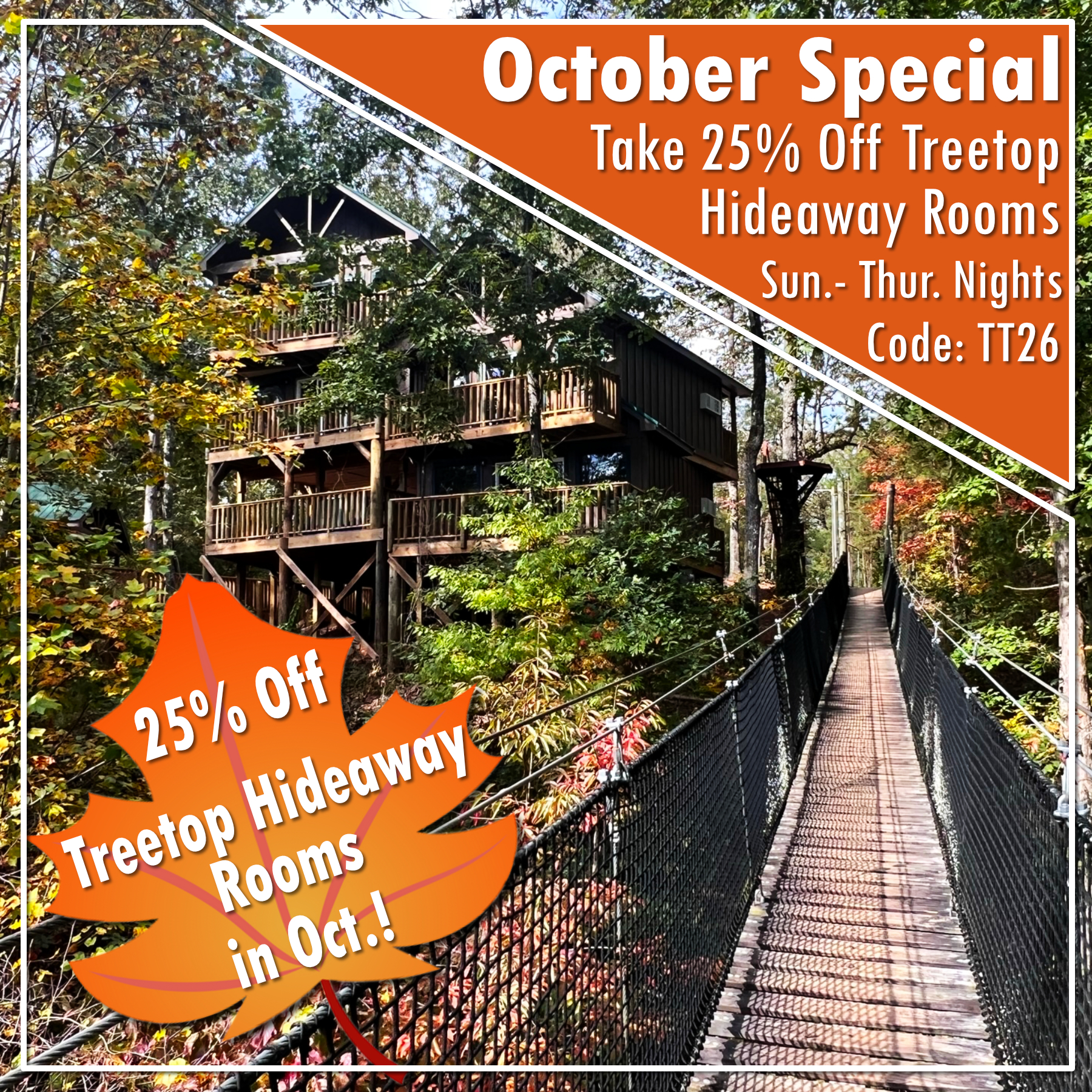 Oct 2026 Treetop